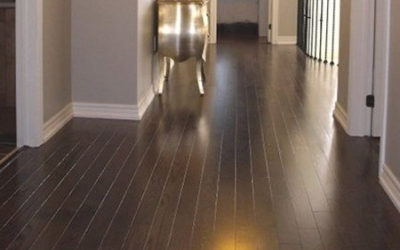 Dark Hardwood Floors, Your Complete Guide