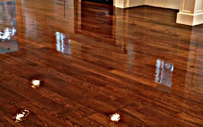 The Ultimate Guide To Refinishing Your Hardwood Floors,Dog Licking Paws Red